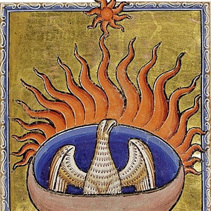 375Px Phoenix Detail From Aberdeen Bestiary